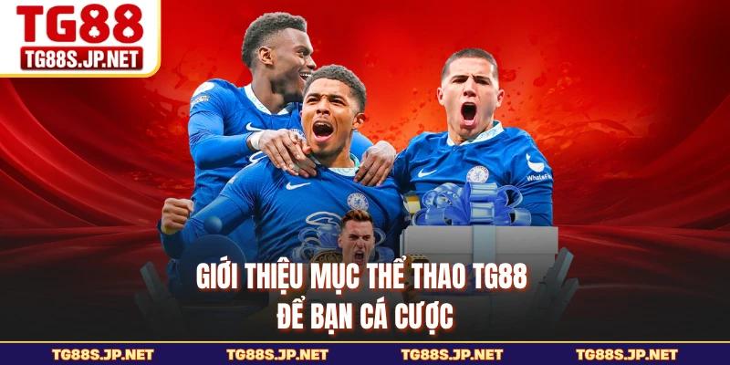 Giới thiệu mục thể thao TG88 để bạn cá cược