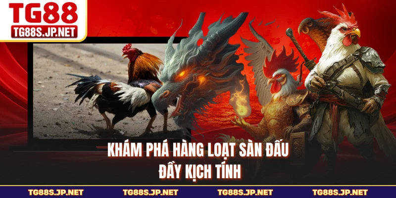 Khám phá hàng loạt sàn đấu đầy kịch tính