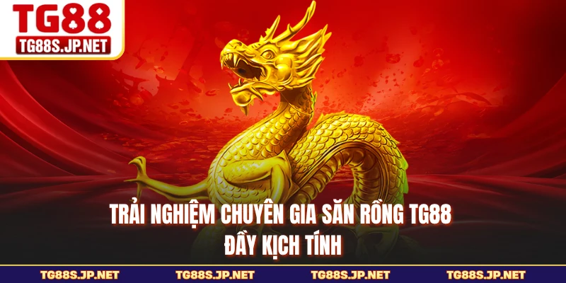 Trải nghiệm chuyên gia săn rồng TG88 đầy kịch tính